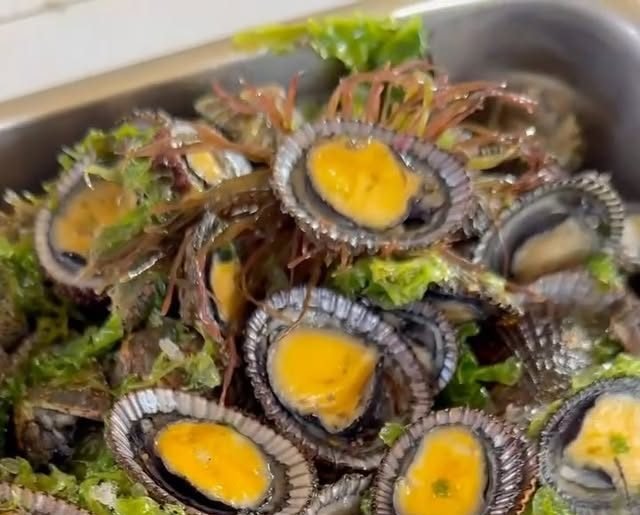 A tray of fresh opihi on a bed of greens